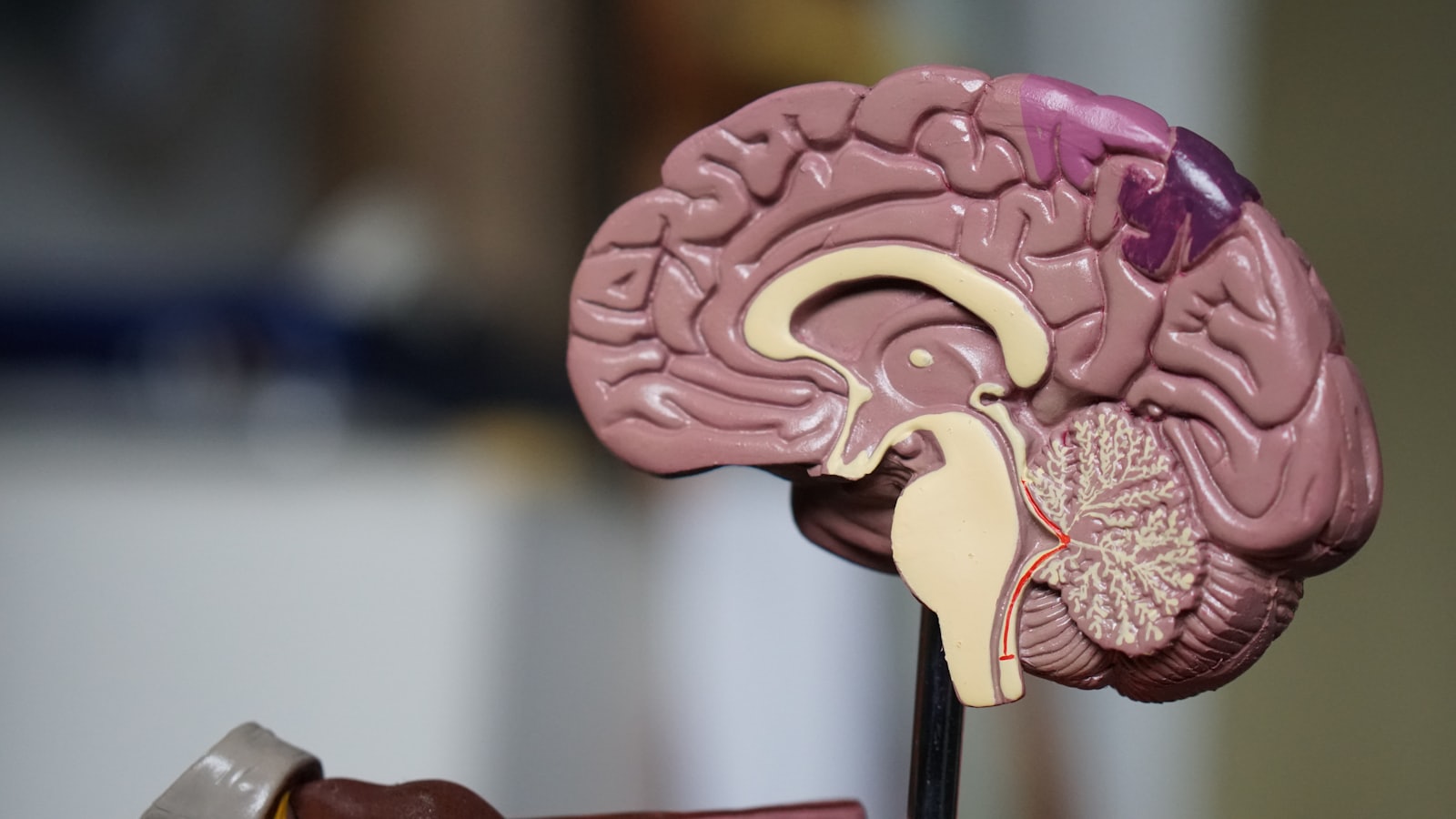 Intensive Care at EDAIC Part I: The Key Topics from Paper B